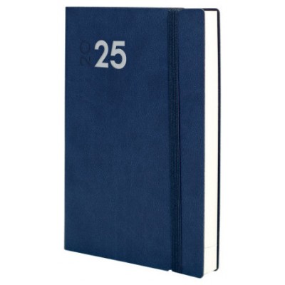 AGENDA 2025 DYNAMIC MARA Y11 164X240MM DIA PAGINA AZUL FINOCAM 621981025 (Espera 4 dias)